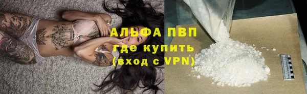 спайс Арсеньев