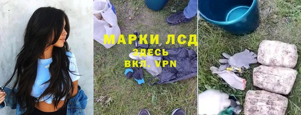 спайс Арсеньев