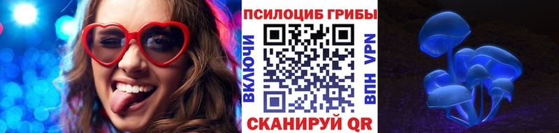 Псилоцибиновые грибы Cubensis как найти закладки Светлый